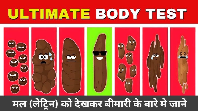मल (Stool) का हिंदी में अर्थ: परिभाषा और बुनियादी जानकारी (मल क्या है, यह क्यों बनता है, और यह स्वास्थ्य के लिए क्यों महत्वपूर्ण है)।