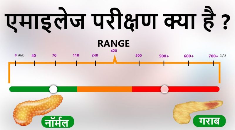 मल से जुड़े सामान्य स्वास्थ्य मुद्दे और उनके लक्षण (कब्ज, दस्त, और अन्य पाचन समस्याओं के लक्षण और कारण)।
