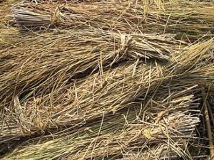 straw meaning in hindi