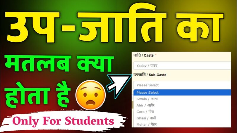 sub caste meaning in hindi - Hình 4