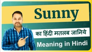 sunny meaning in hindi 1