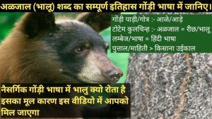superior meaning in hindi 1