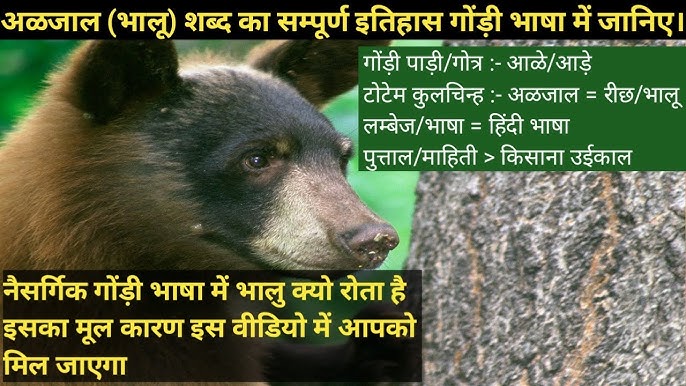 superior meaning in hindi 1