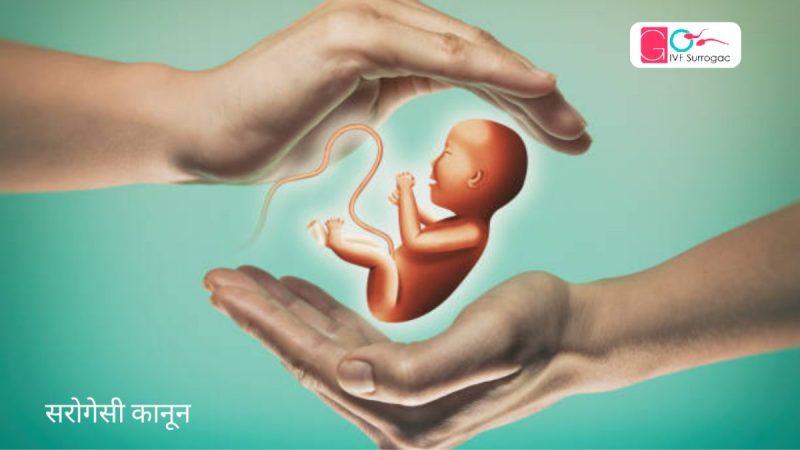 भारत में सरोगेसी कानून: नवीनतम अपडेट और दिशानिर्देश