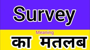 survey meaning in hindi 1