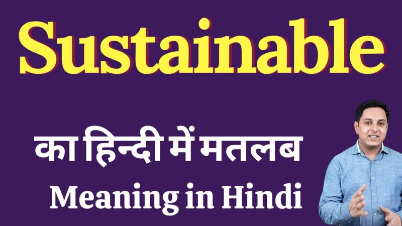 sustainable meaning in hindi - Hình 1