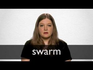 swarm meaning in hindi 3
