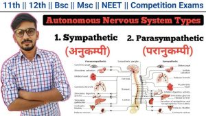 sympathetic meaning in hindi 1