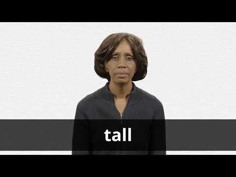 tall meaning in hindi 2