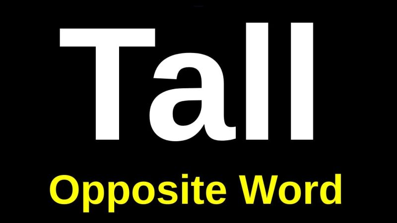 tall meaning in hindi 4