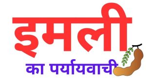 tamarind meaning in hindi 2
