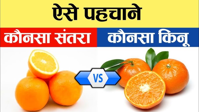 संतरा: उपयोग और व्यंजन | Tangerine Recipes in Hindi