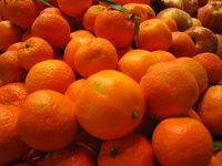 संतरा (Tangerine) का हिंदी में अर्थ: एक पूर्ण गाइड