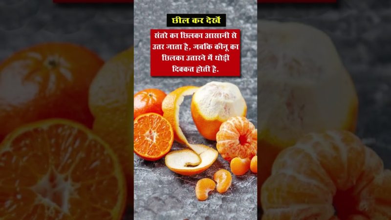 संतरा (Tangerine) और कीनू (Kinnow) में अंतर: पहचान और उपयोग