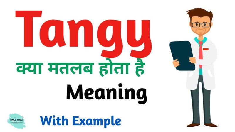 tangy meaning in hindi - Hình 3