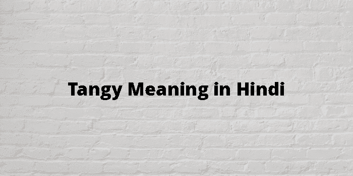 tangy meaning in hindi - Hình 4