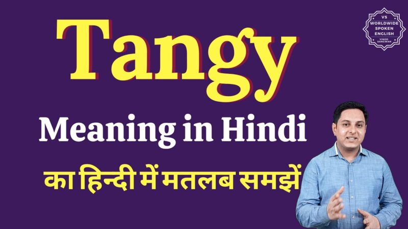 tangy meaning in hindi - Hình 1