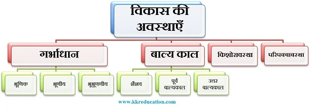 किशोरावस्था की आयु सीमा और विकासात्मक चरण