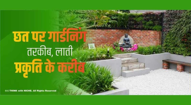 टेरेस के फायदे और नुकसान: क्या विचार करें?