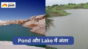 terrestrial meaning in hindi 2