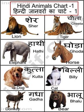 स्थलीय जानवरों और पौधों के नाम हिंदी में