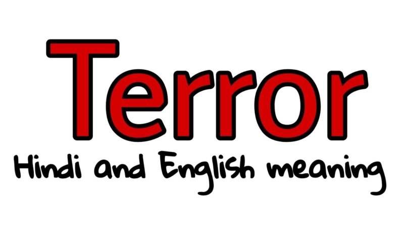 terror meaning in hindi - Hình 2
