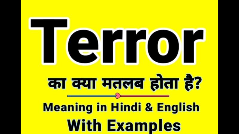 terror meaning in hindi - Hình 5