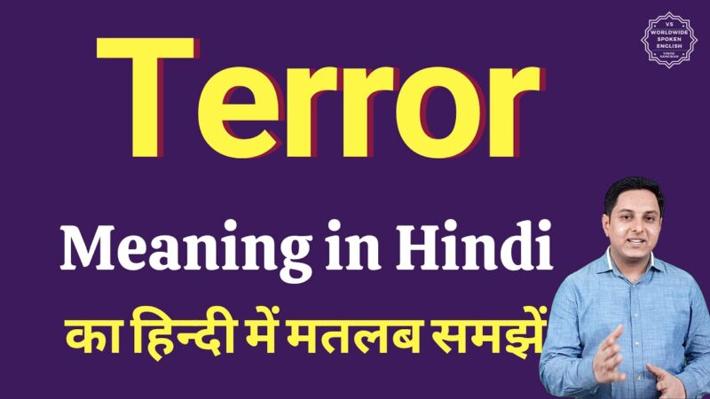 terror meaning in hindi - Hình 1