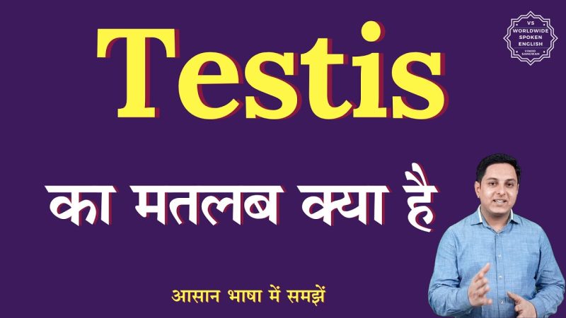 टेस्टिस स्वास्थ्य से संबंधित मिथक और तथ्य: हिंदी में स्पष्टीकरण (Testis swasthya se sambandhit mithak aur tathya: Hindi mein spashtikaran)