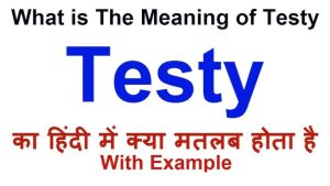 testy meaning in hindi 1