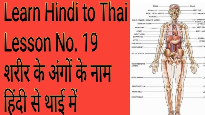 thai meaning in hindi - Hình 4
