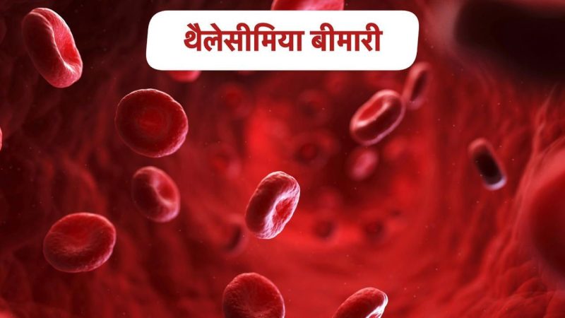 थैलेसीमिया का हिंदी में अर्थ (Thalassemia Ka Hindi Mein Arth)