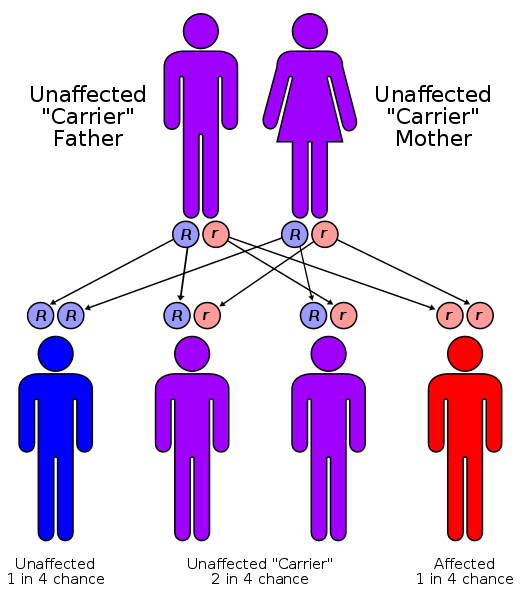 थैलेसीमिया के प्रकार: अल्फा, बीटा, और अन्य (Thalassemia Ke Prakar: Alpha, Beta, Aur Anya)