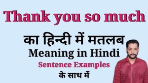 thank you so much meaning in hindi 1