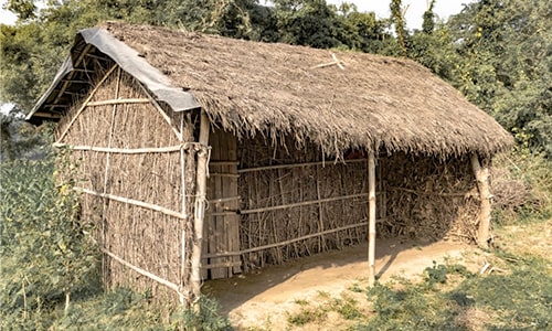 thatched meaning in hindi - Hình 3