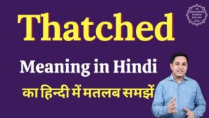 thatched meaning in hindi