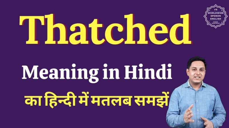 thatched meaning in hindi - Hình 1