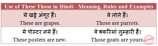 they meaning in hindi 1