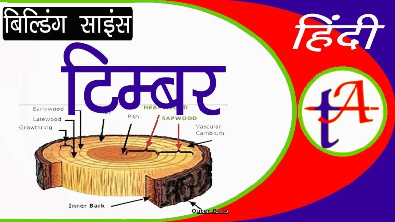 टिम्बर का हिंदी में मतलब: एक व्यापक व्याख्या (Timber Meaning in Hindi: A Comprehensive Explanation)