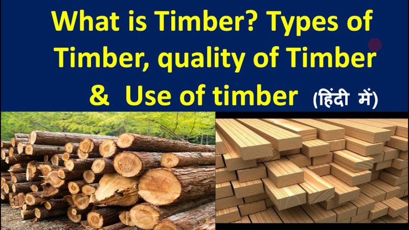 विभिन्न प्रकार के टिम्बर और उनके हिंदी नाम (Different Types of Timber and Their Hindi Names)