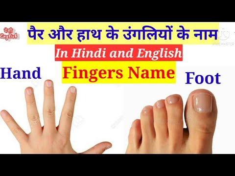 पैर की उंगलियों के नाम हिंदी में: एक व्यापक मार्गदर्शिका (Pair Ki Ungliyon Ke Naam Hindi Mein: Ek Vyapak Margdarshika)