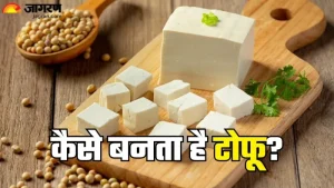 tofu meaning in hindi 2