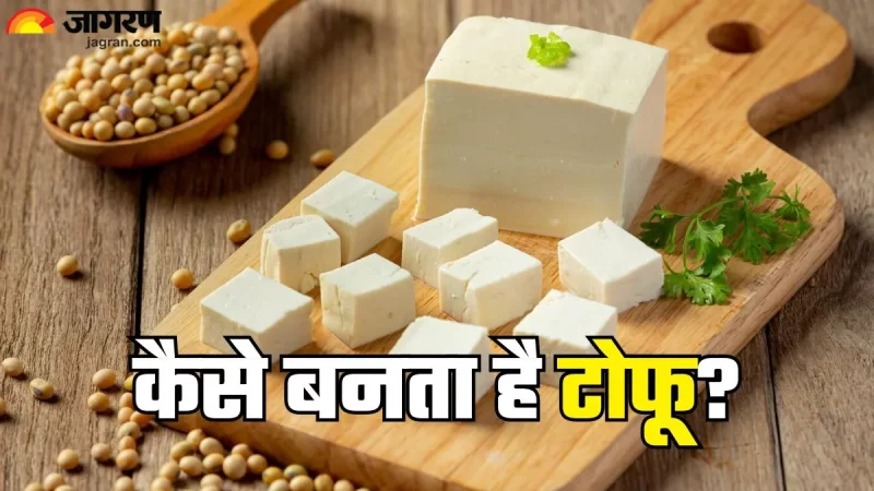 टोफू क्या है? (Tofu kya hai?)