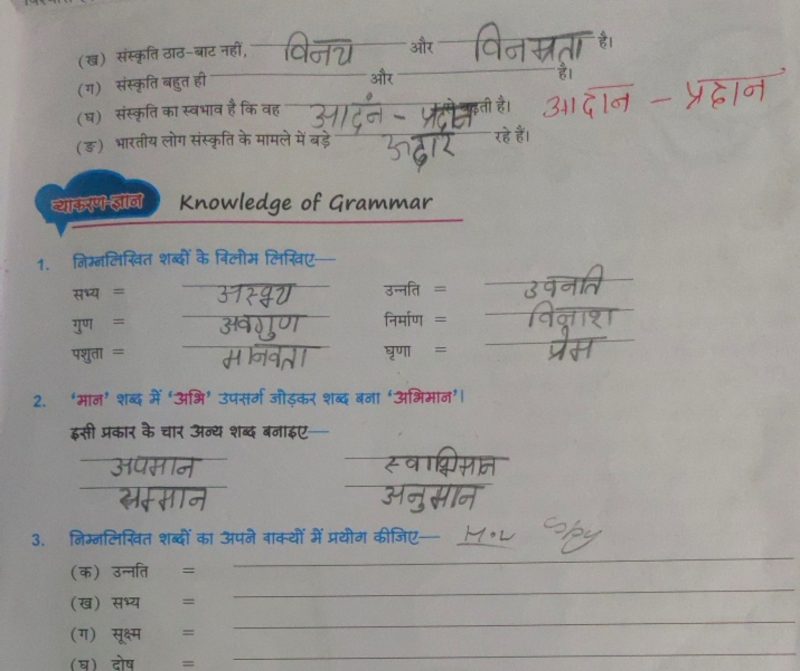 took meaning in hindi 3