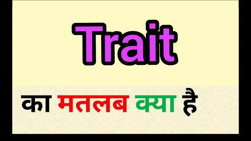 trait meaning in hindi - Hình 2