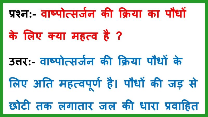 वाष्पोत्सर्जन का महत्व: पौधों के लिए क्यों जरूरी है?