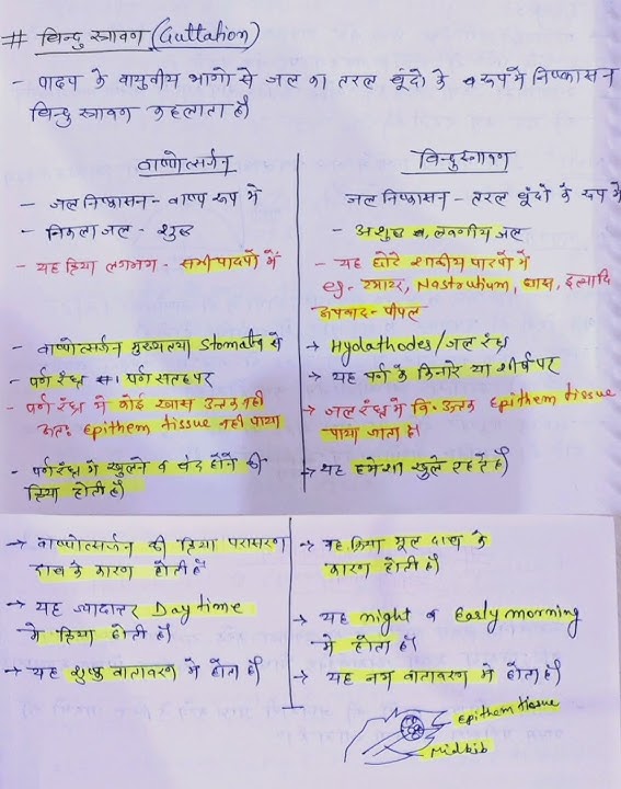 वाष्पोत्सर्जन और गटेशन: अंतर और समानताएँ