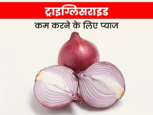 triglycerides meaning in hindi 5