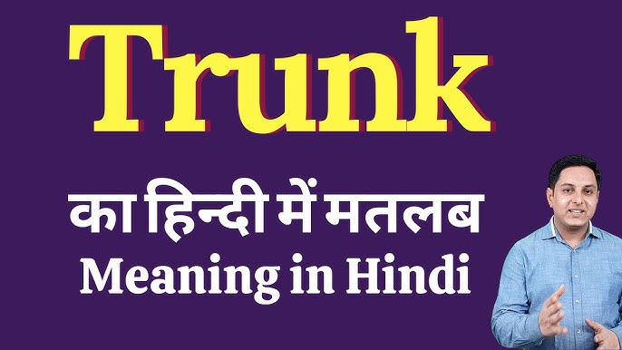 संदर्भ के अनुसार ट्रंक के विभिन्न अर्थ  विभिन्न संदर्भों (जैसे पेड़ का तना, शरीर का धड़, सूटकेस) में ट्रंक शब्द के अर्थों का पता लगाएं और प्रत्येक संदर्भ में उपयुक्त हिंदी अनुवाद प्रदान करें।