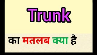 ट्रंक के सामान्य उपयोग: उदाहरण और वाक्य  दैनिक जीवन, साहित्य और विभिन्न क्षेत्रों में ट्रंक शब्द के सामान्य उपयोगों के उदाहरणों के साथ, हिंदी अनुवादों के साथ प्रदर्शन करें।